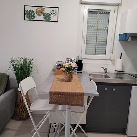 Cocooning House 204 Suite Green- Superb Studio Aeroport Paris Roissy Cdg, Parc Asterix, Chateau De Chantilly, Stade De France Survilliers Exteriör bild